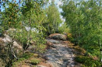 /album/broumovsko-broumovske-steny-/broumovsko-broumovske-steny-5-jpg/